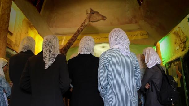 Waiting for Giraffes
