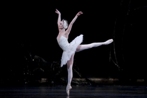 swan lake