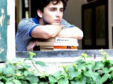 call me by your name sphinx lgbtq pinx