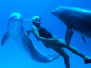Dolphin Man