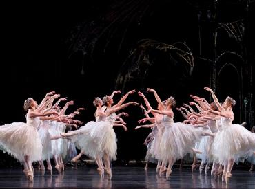swan lake